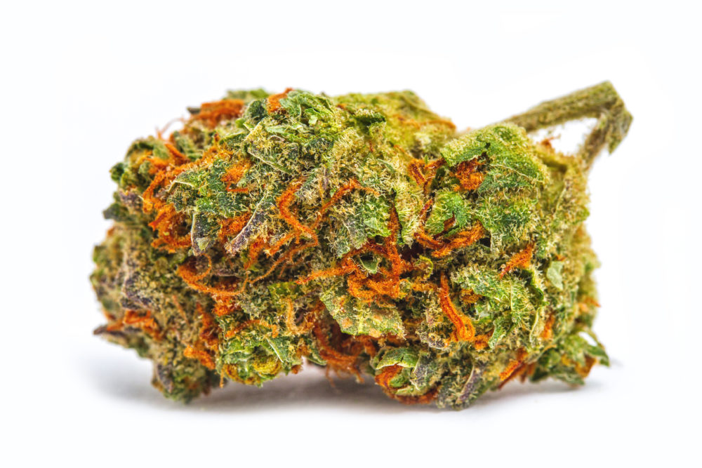 This strain is bursting with floral aroma and citrus flavor. 