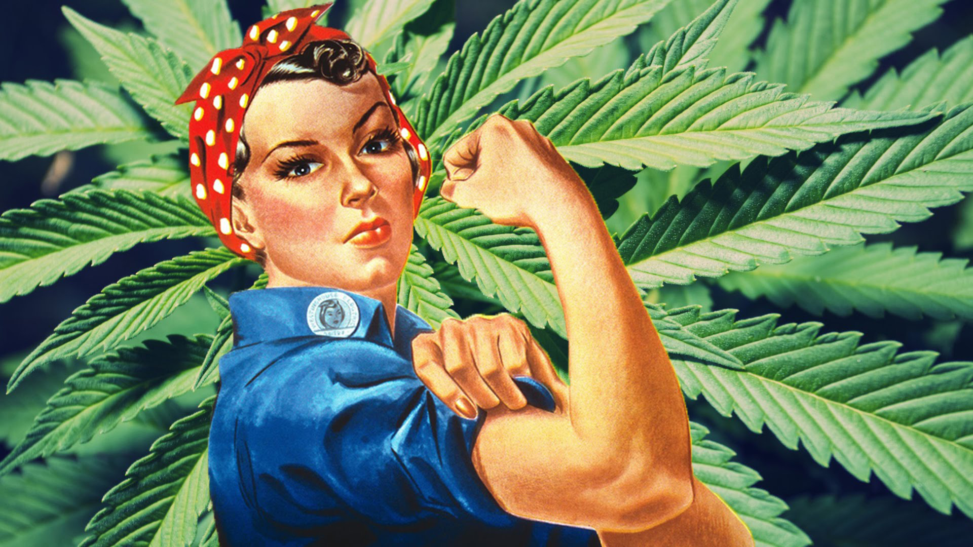 A Woman's Guide To Cannabis @ 110 Fawcett - Revolutionary Cl