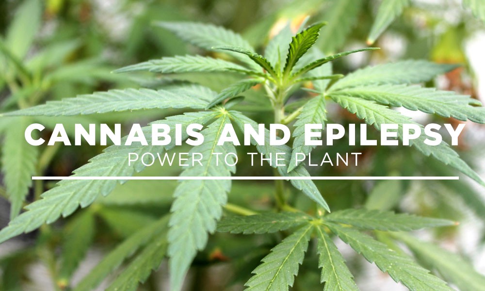 Cannabis for treating Epilepsy @ 67 Broadway